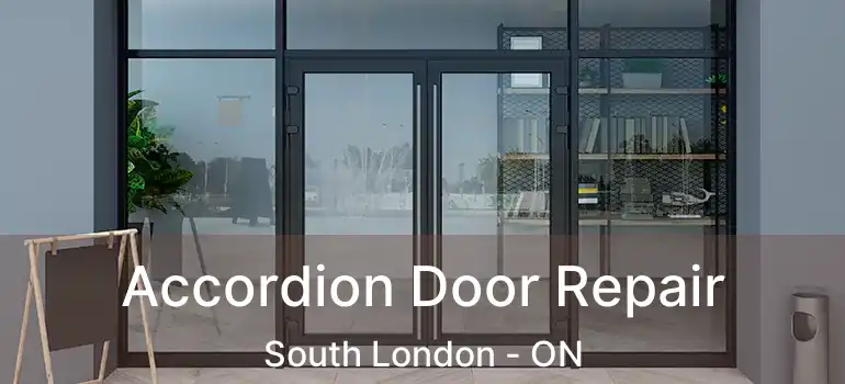  Accordion Door Repair South London - ON
