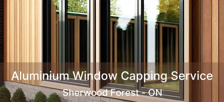  Aluminium Window Capping Service Sherwood Forest - ON
