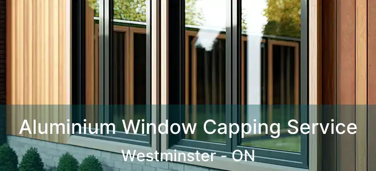 Aluminium Window Capping Service Westminster - ON