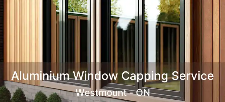 Aluminium Window Capping Service Westmount - ON