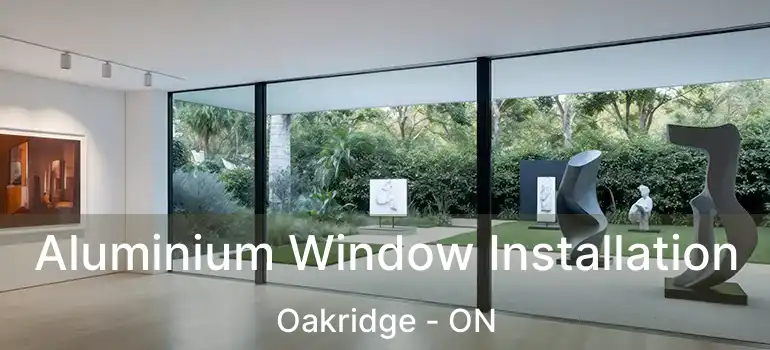 Aluminium Window Installation Oakridge - ON