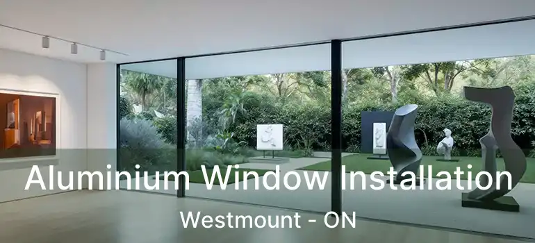 Aluminium Window Installation Westmount - ON