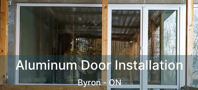  Aluminum Door Installation Byron - ON