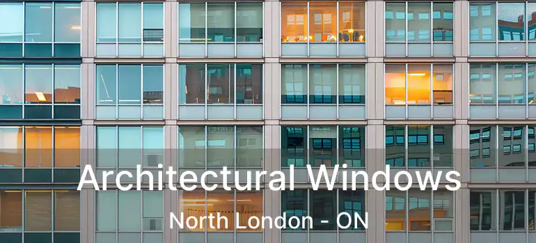  Architectural Windows North London - ON