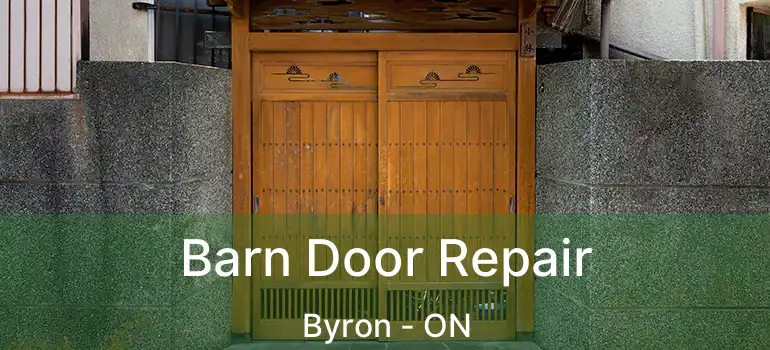  Barn Door Repair Byron - ON