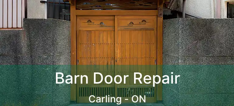  Barn Door Repair Carling - ON