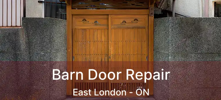  Barn Door Repair East London - ON
