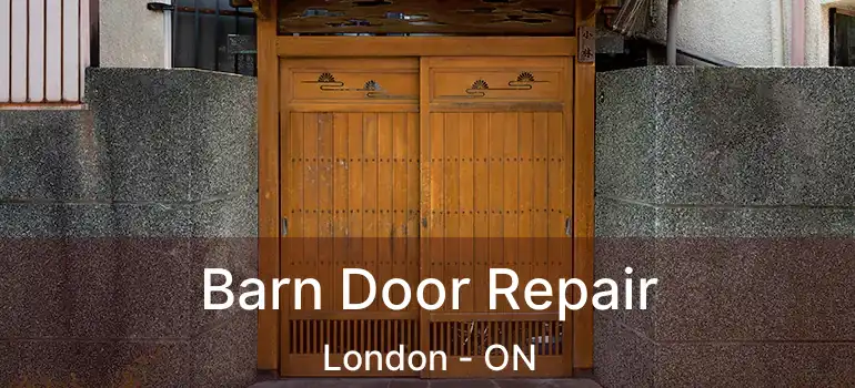  Barn Door Repair London - ON
