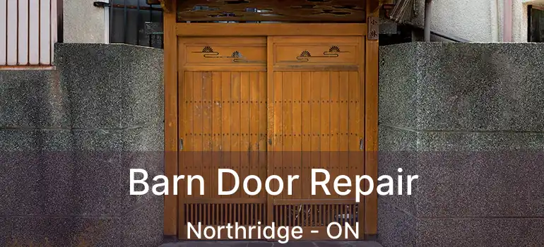  Barn Door Repair Northridge - ON