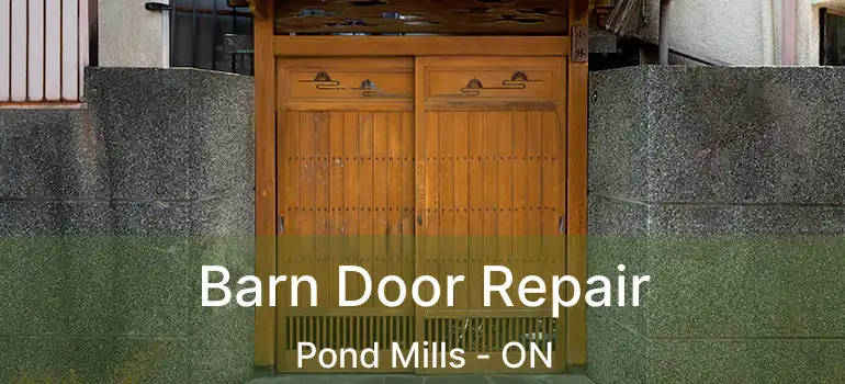  Barn Door Repair Pond Mills - ON