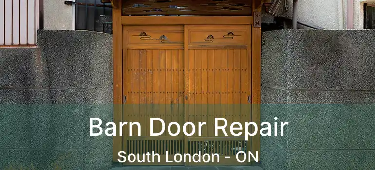  Barn Door Repair South London - ON