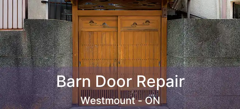  Barn Door Repair Westmount - ON