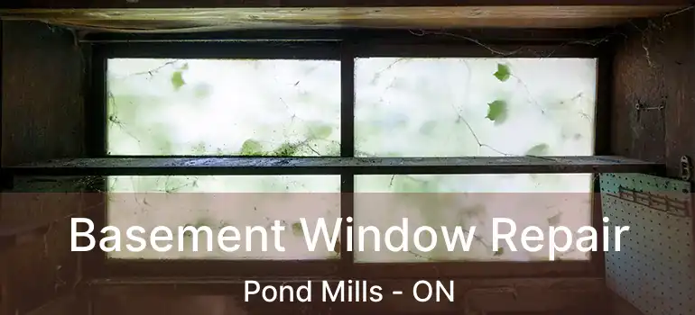  Basement Window Repair Pond Mills - ON