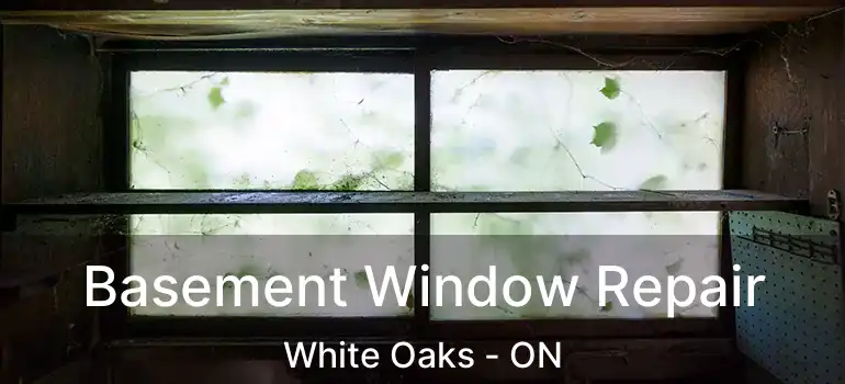  Basement Window Repair White Oaks - ON