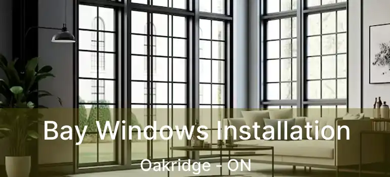  Bay Windows Installation Oakridge - ON