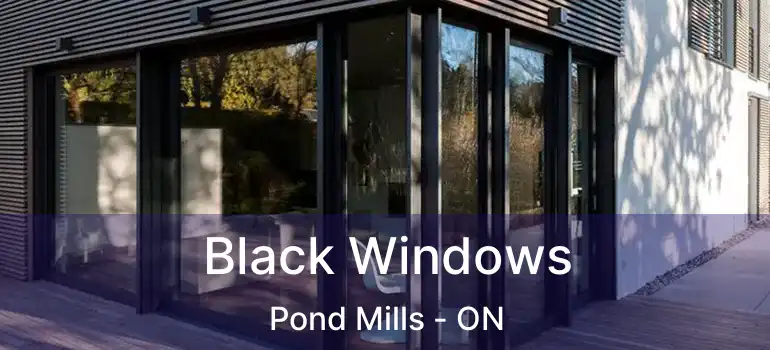  Black Windows Pond Mills - ON