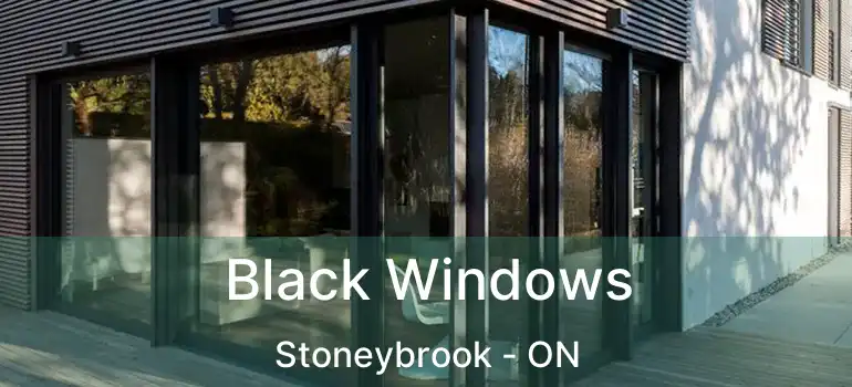  Black Windows Stoneybrook - ON