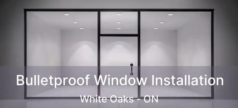  Bulletproof Window Installation White Oaks - ON