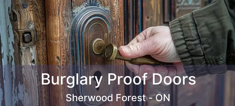  Burglary Proof Doors Sherwood Forest - ON