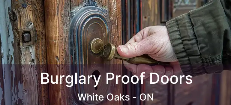  Burglary Proof Doors White Oaks - ON