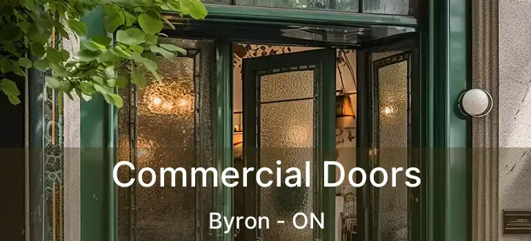  Commercial Doors Byron - ON