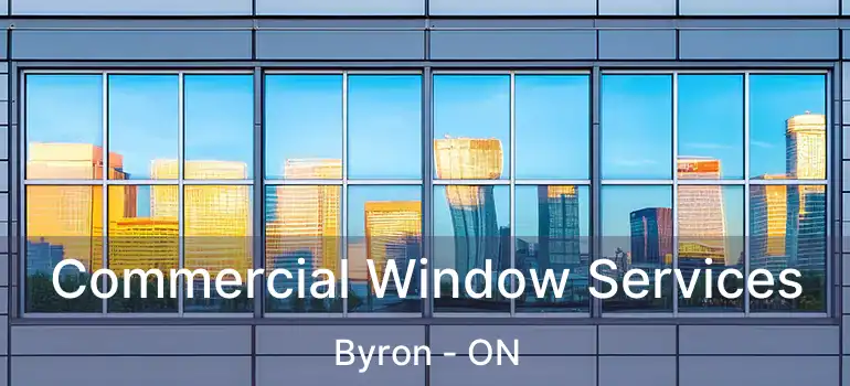  Commercial Window Services Byron - ON