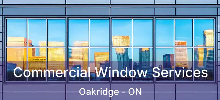  Commercial Window Services Oakridge - ON