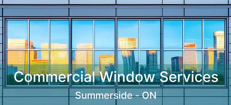  Commercial Window Services Summerside - ON