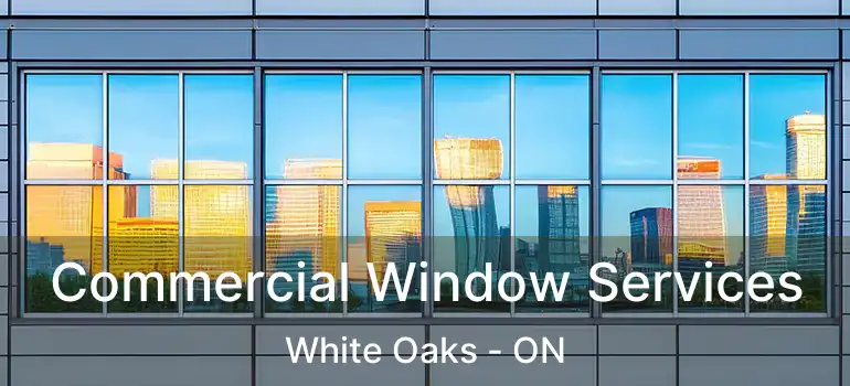  Commercial Window Services White Oaks - ON