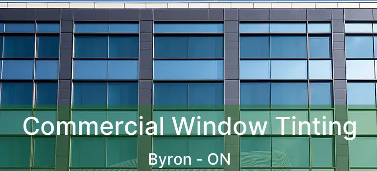  Commercial Window Tinting Byron - ON
