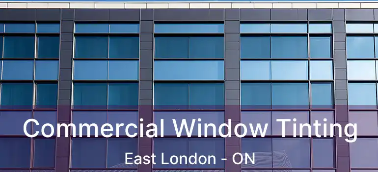  Commercial Window Tinting East London - ON