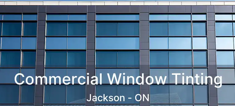  Commercial Window Tinting Jackson - ON