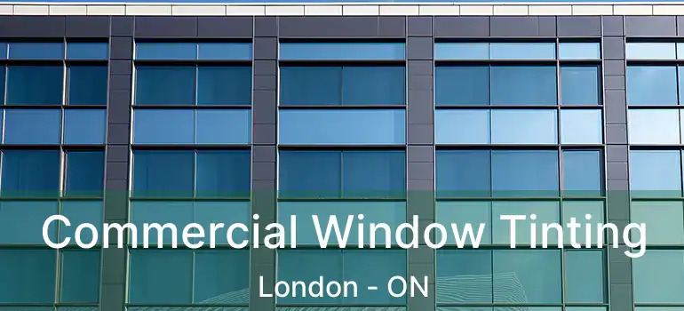  Commercial Window Tinting London - ON