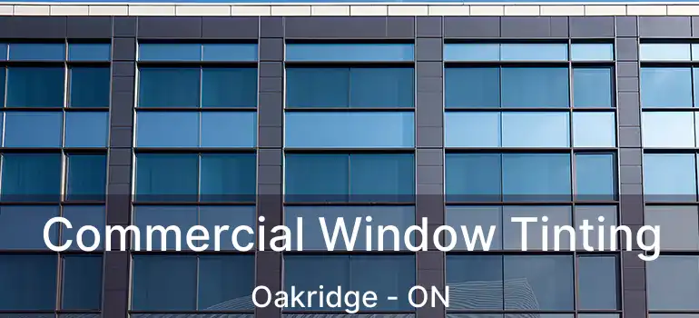  Commercial Window Tinting Oakridge - ON