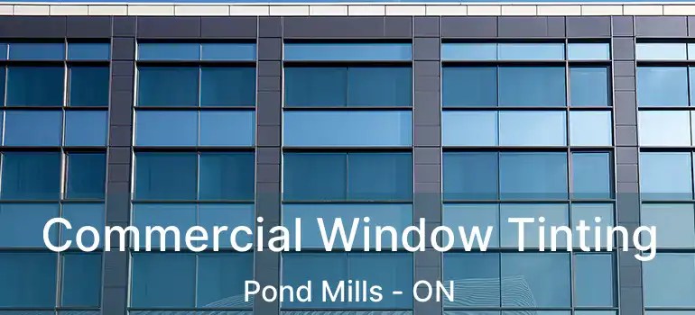  Commercial Window Tinting Pond Mills - ON