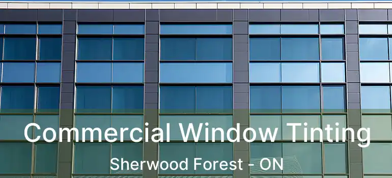  Commercial Window Tinting Sherwood Forest - ON