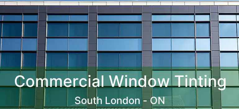  Commercial Window Tinting South London - ON