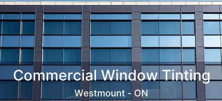  Commercial Window Tinting Westmount - ON