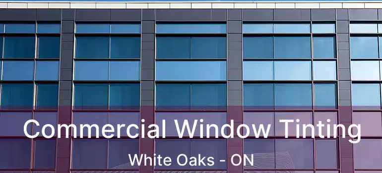  Commercial Window Tinting White Oaks - ON