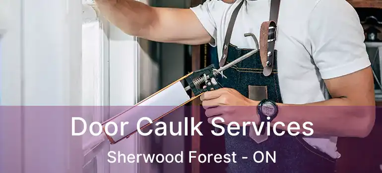  Door Caulk Services Sherwood Forest - ON