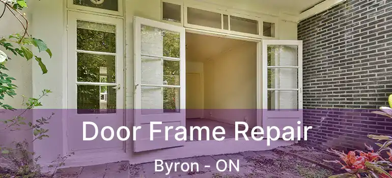  Door Frame Repair Byron - ON