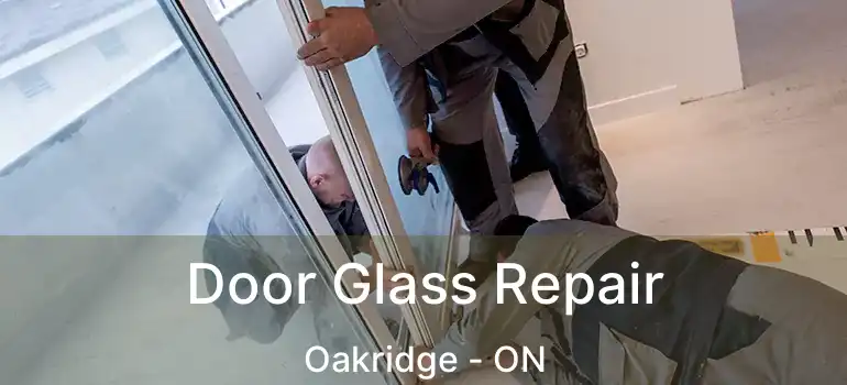 Door Glass Repair Oakridge - ON