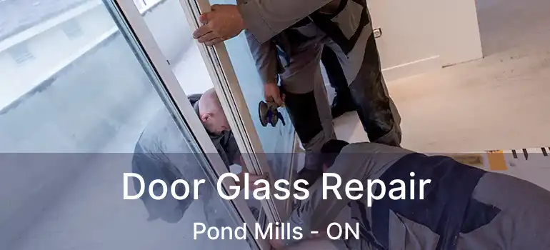  Door Glass Repair Pond Mills - ON