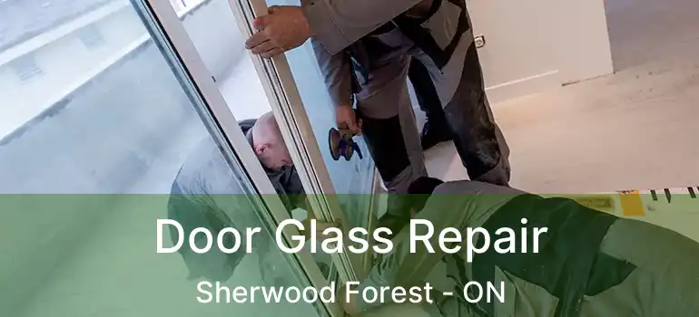  Door Glass Repair Sherwood Forest - ON