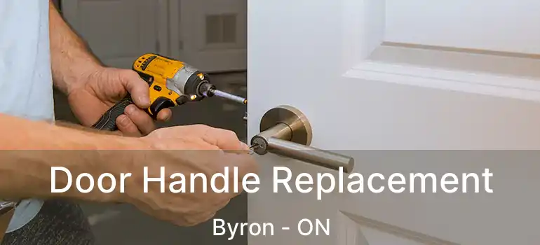  Door Handle Replacement Byron - ON