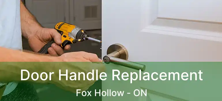  Door Handle Replacement Fox Hollow - ON