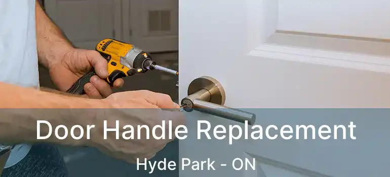  Door Handle Replacement Hyde Park - ON