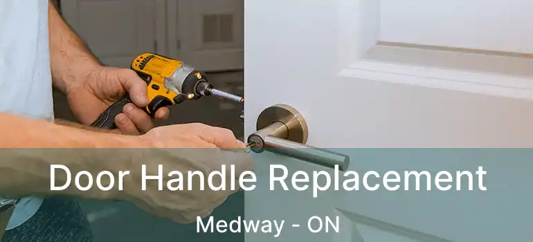  Door Handle Replacement Medway - ON