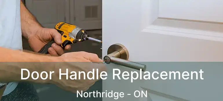  Door Handle Replacement Northridge - ON