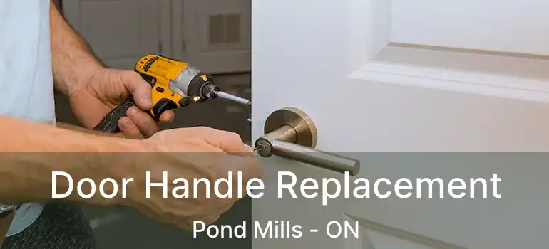  Door Handle Replacement Pond Mills - ON